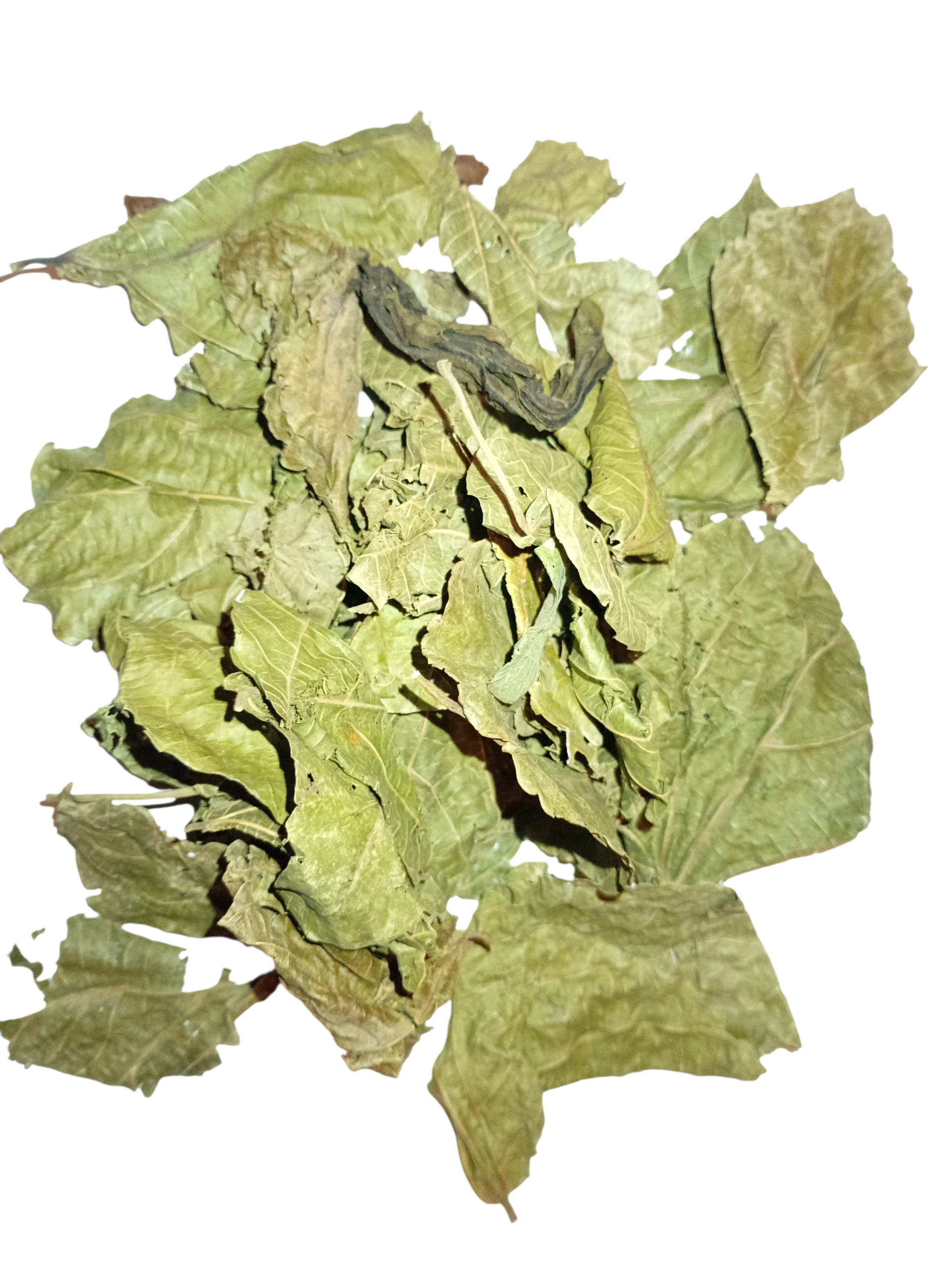 Feuilles de Djeka 100% naturelle